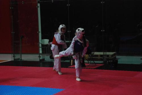 DSC 0071