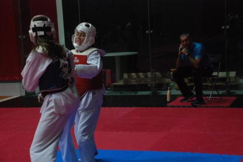 DSC 0080 (1)