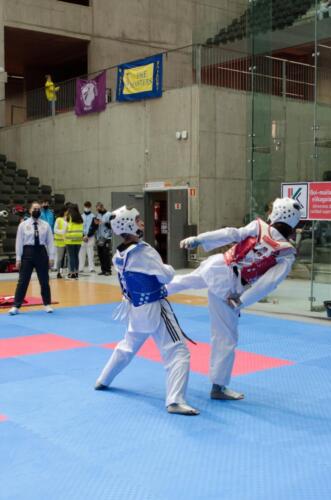 TKD-Sub-21109