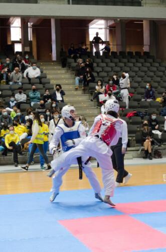 TKD-Sub-21110