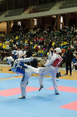 TKD-Sub-21116