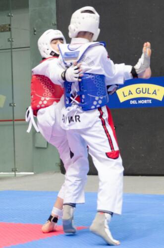 TKD-Sub-21135