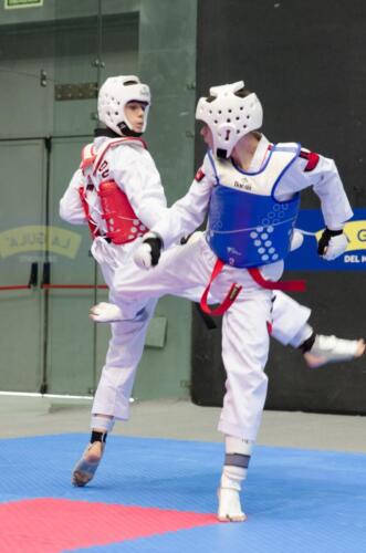 TKD-Sub-21136