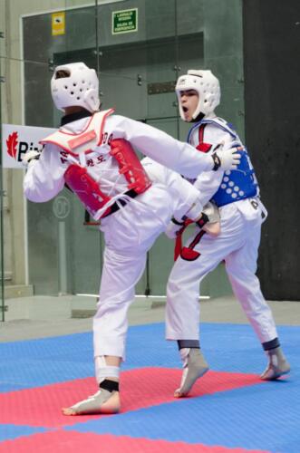 TKD-Sub-21137