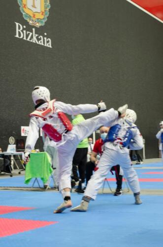 TKD-Sub-21163 (1)