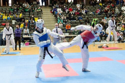 TKD-Sub-21172