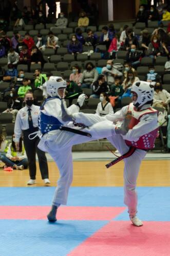 TKD-Sub-21191