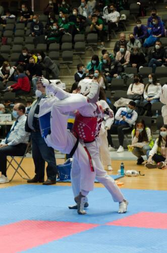 TKD-Sub-21193